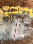 IMG_8528.jpeg