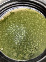 IMG_8565.jpeg