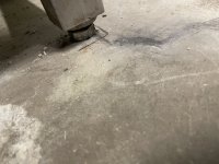 IMG_8651.jpeg