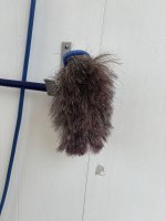 IMG_4716.jpeg