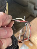 IMG_4142.jpeg