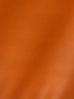 IMG_2936.jpeg