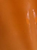 IMG_2935.jpeg