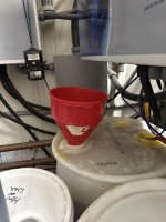 IMG_4256.jpeg