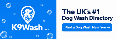 K9Wash CTA - Split Bold.png
