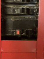IMG_6887.jpeg