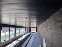 IMG_0092.jpeg