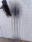 IMG_20201024_123040.jpg