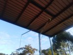 IMG_20201229_063107.jpg