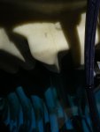 00592C22-5252-4AC5-B816-4AEAD6FDD54E.jpeg