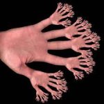 Fingerhands.jpg