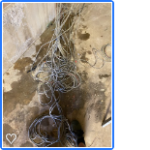 Rats Nest.png
