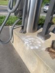 IMG_4387.jpeg