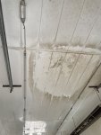IMG_0139.jpeg