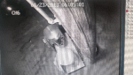 20231012_200806_1.gif