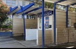 IMG_9567.jpeg