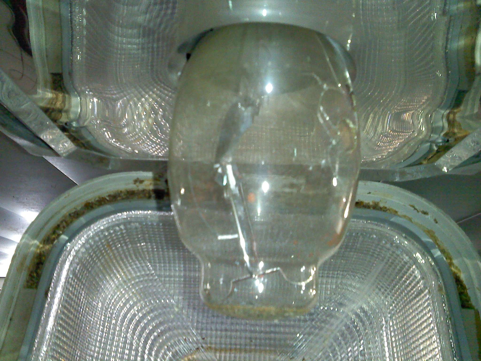 0131132237.jpg