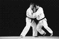 judo.gif