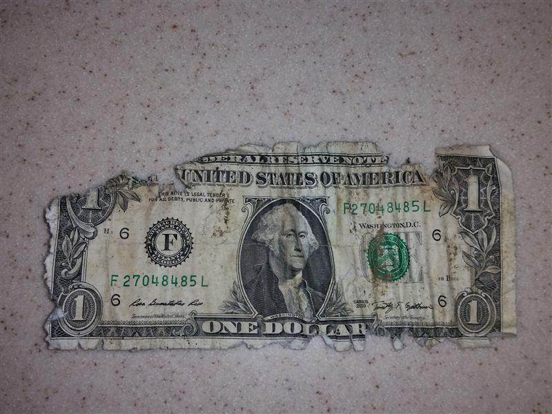 dollar_bill.jpg