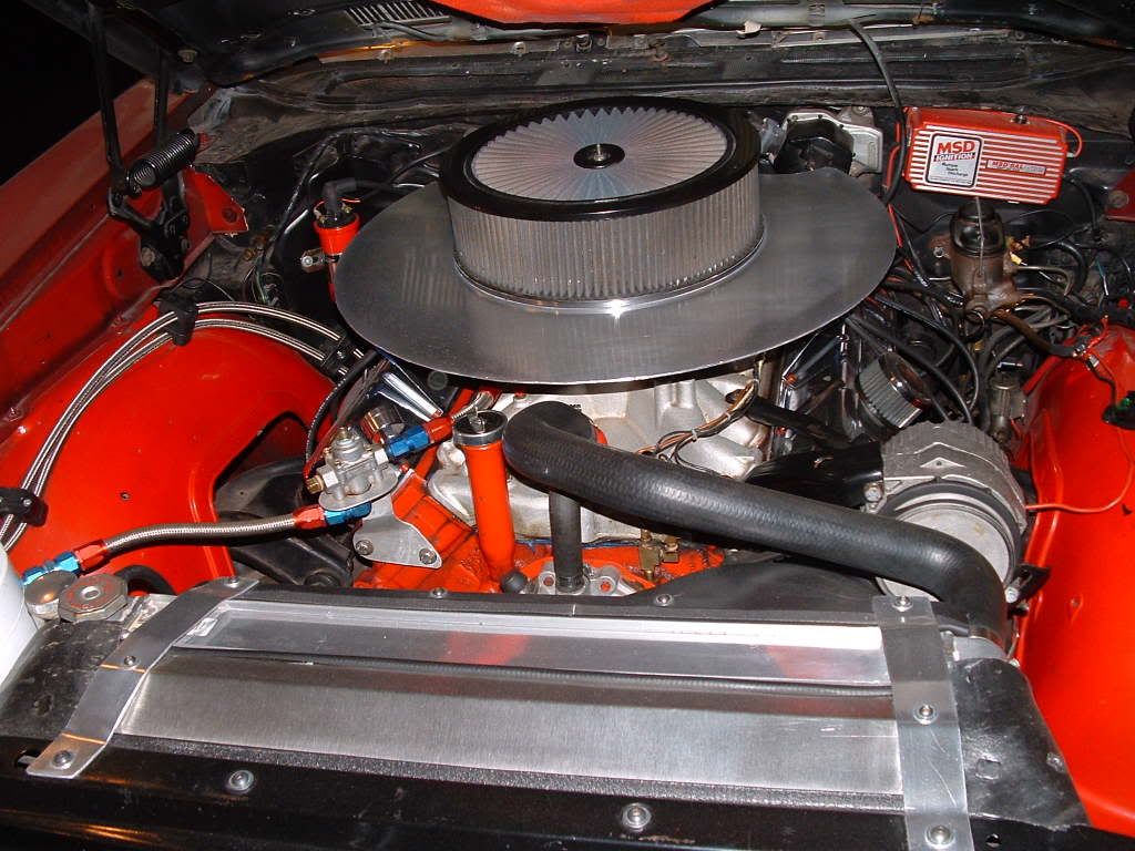 summer2008069.jpg