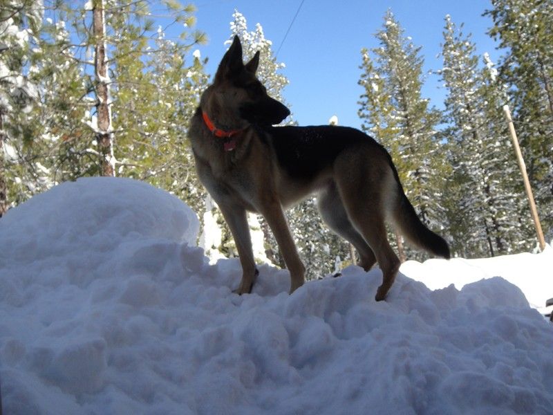 122812TOLPJULGRAMKEV049_zps9a3dc5fa.jpg